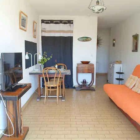 Lumineux Avec Terrasse Et Wifi, Animaux Admis - Fr-1-503-60 *