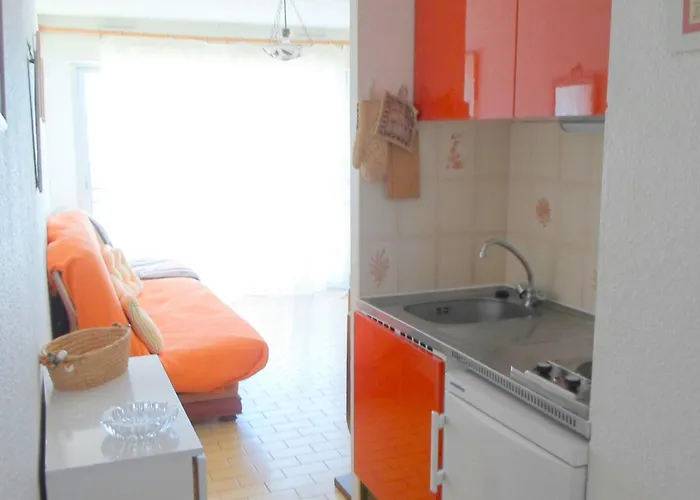 Appartement Lumineux Avec Terrasse Et Wifi, Animaux Admis - Fr-1-503-60 *