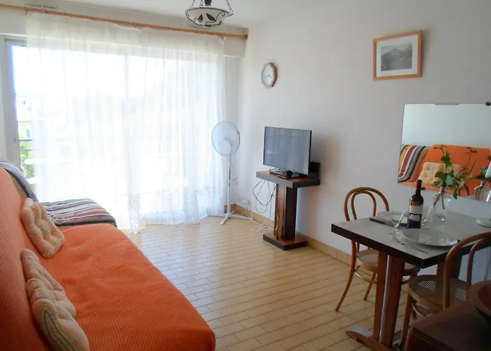 Lumineux Avec Terrasse Et Wifi, Animaux Admis - Fr-1-503-60